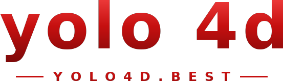 yolo 4d logo